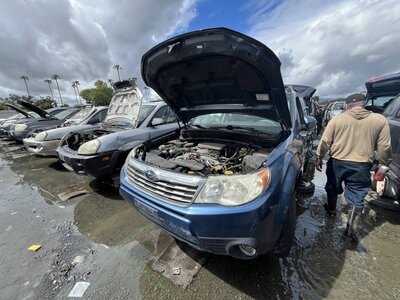 Artículo del catálogo SAC047919