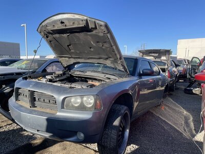 Catalog item POM062893