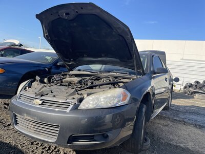 Catalog item POM062753