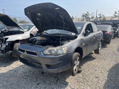 Catalog item POM063706