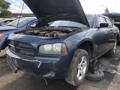 Catalog item FRE113159